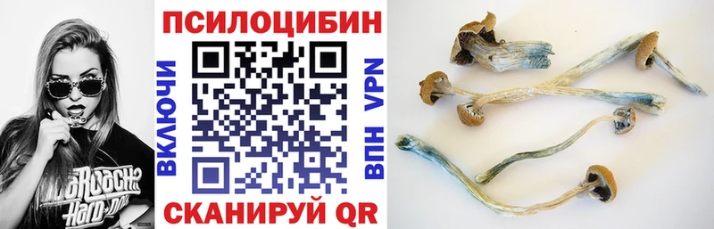 это какой сайт  Ува  Псилоцибиновые грибы Magic Shrooms 